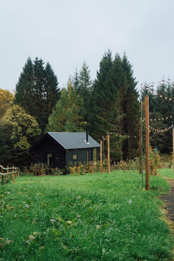 فيلا The Trossachs Collection Balfron المظهر الخارجي الصورة